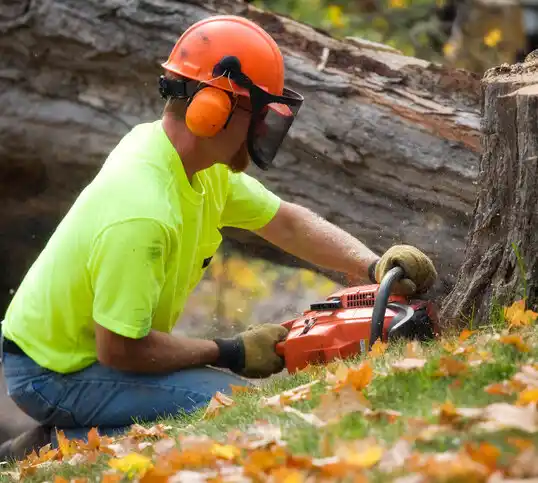 tree services Breckenridge